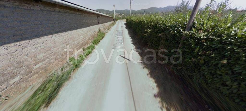 immagine annuncio 4 di 13