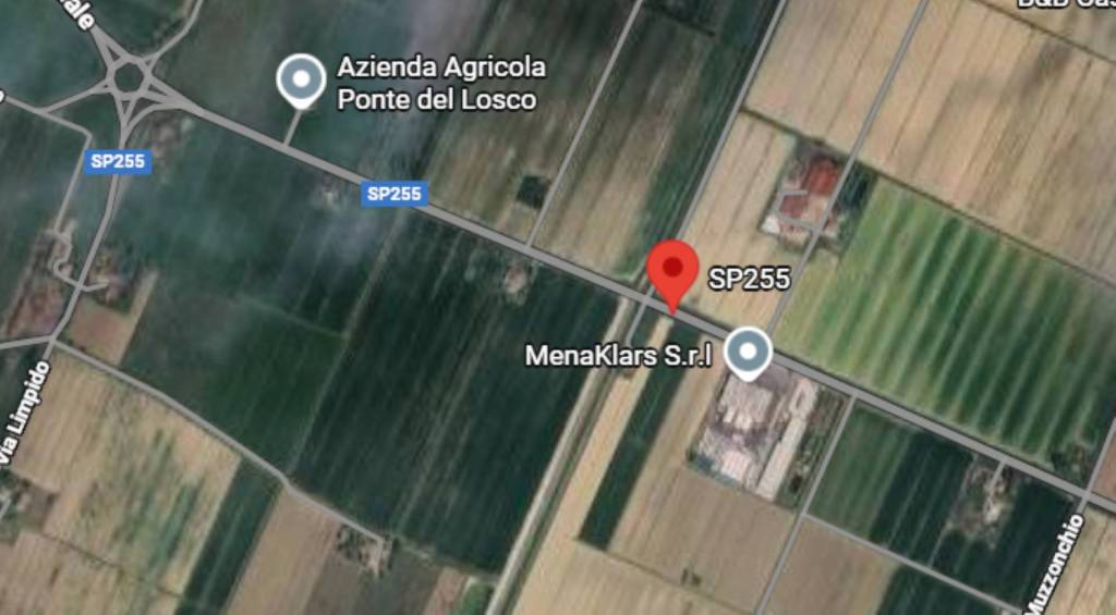 immagine annuncio 2 di 11