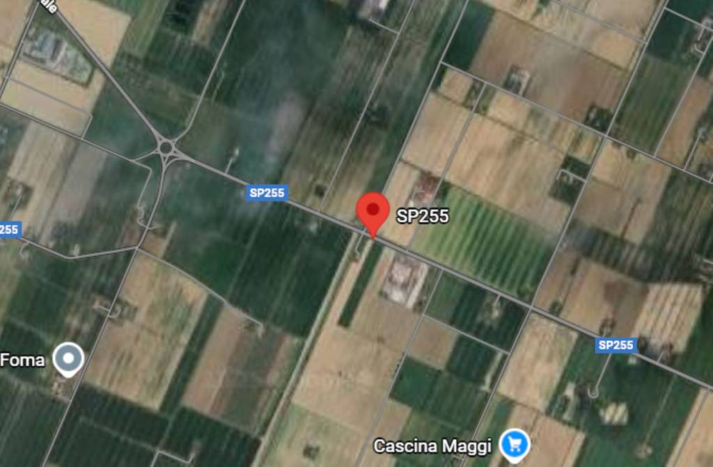 immagine annuncio 3 di 11