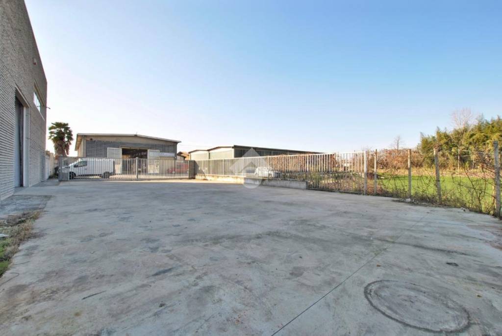 immagine annuncio 5 di 15