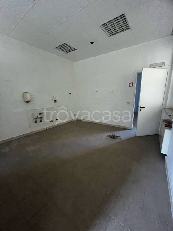 immagine annuncio 2 di 7