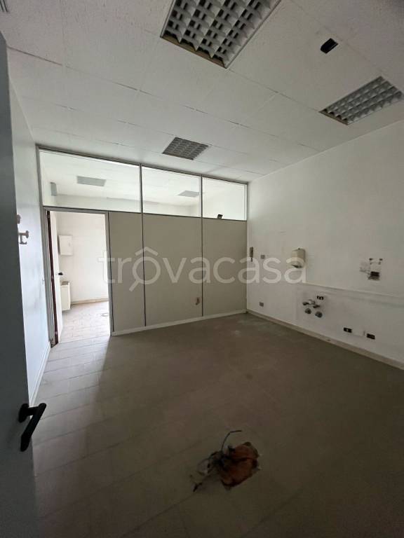 immagine annuncio 3 di 7