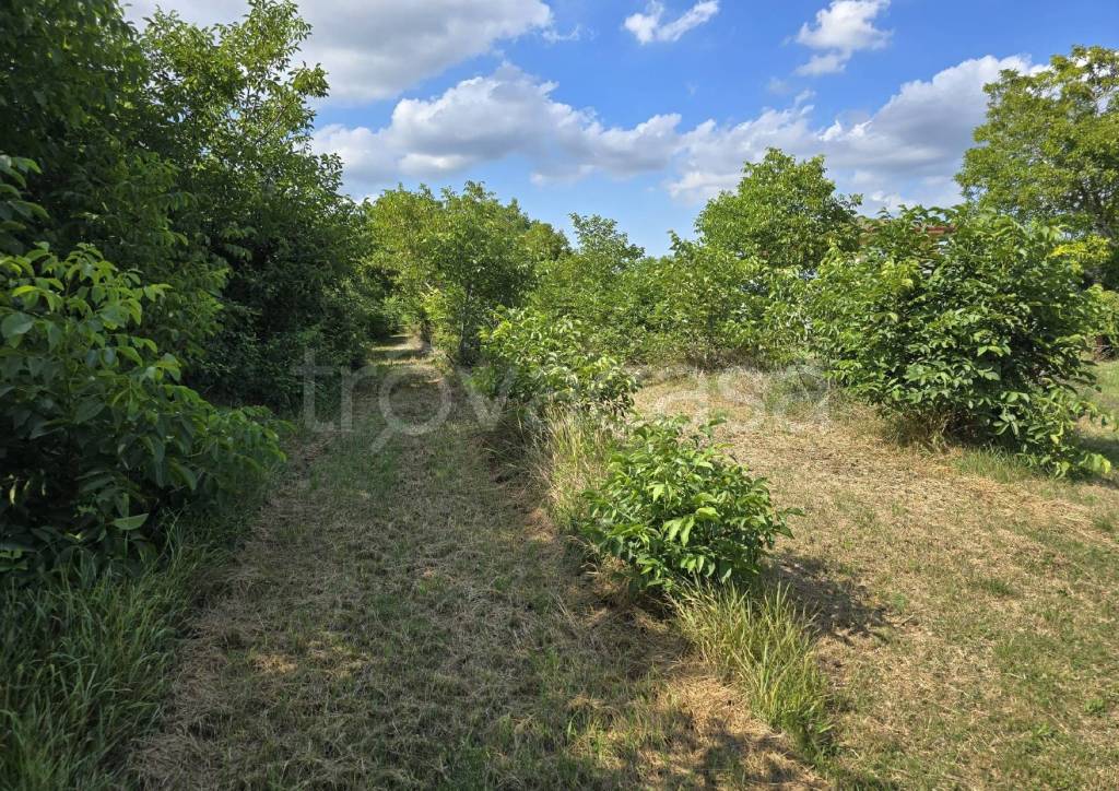 immagine annuncio 3 di 4