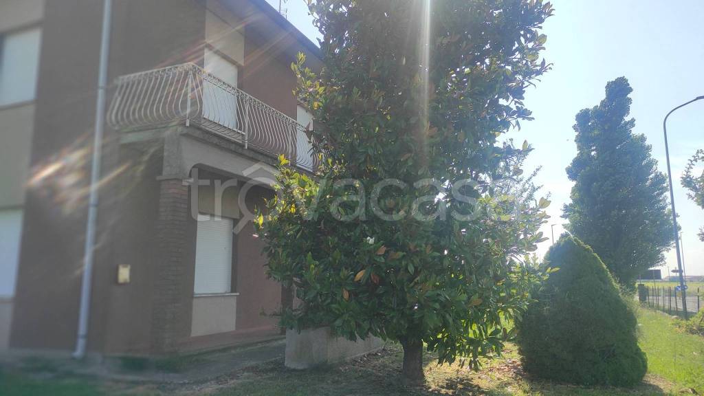 immagine annuncio 2 di 7