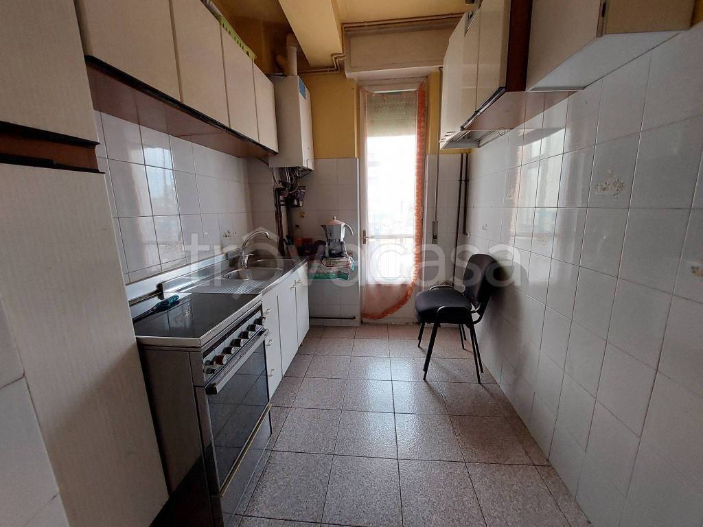 immagine annuncio 4 di 14