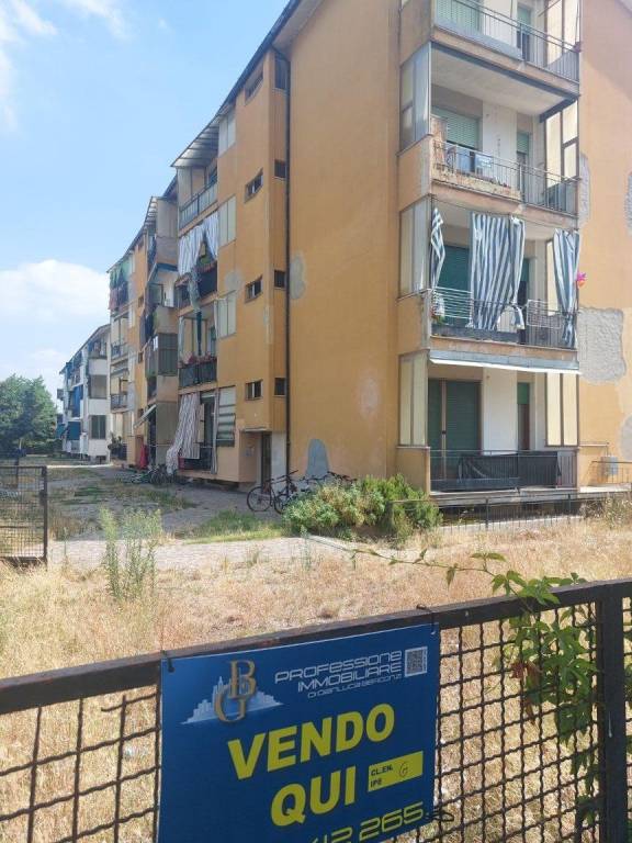 immagine annuncio 12 di 14