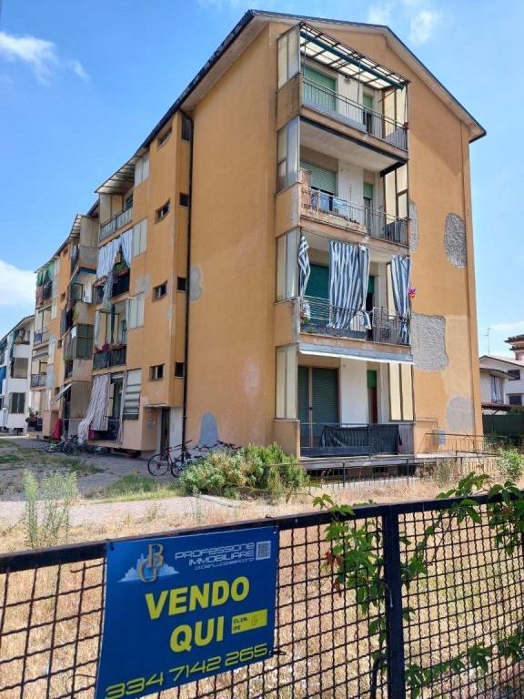 immagine annuncio 1 di 14