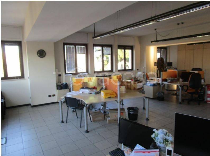 immagine annuncio 6 di 11