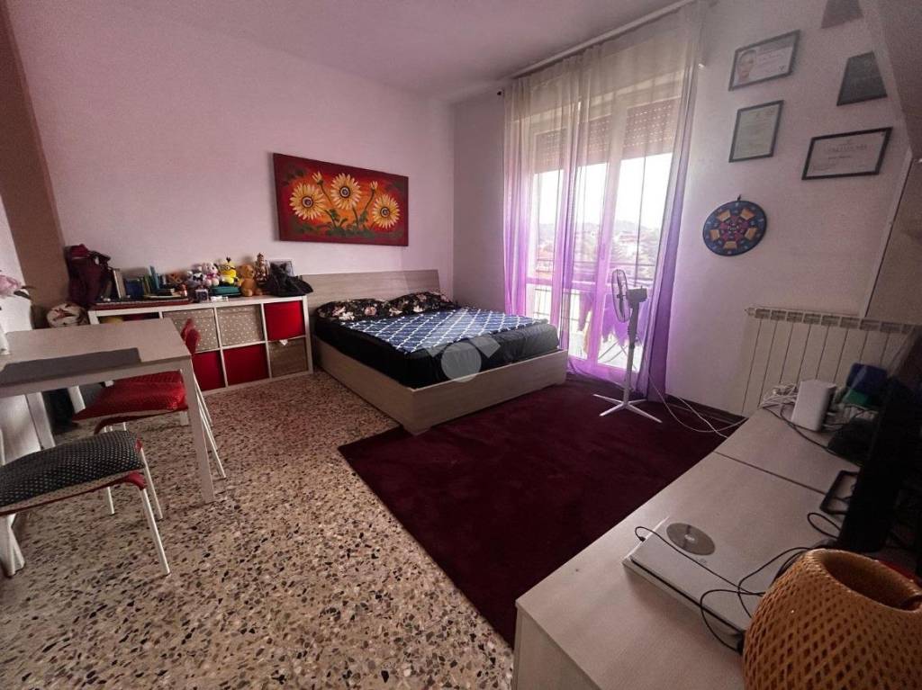 immagine annuncio 3 di 14