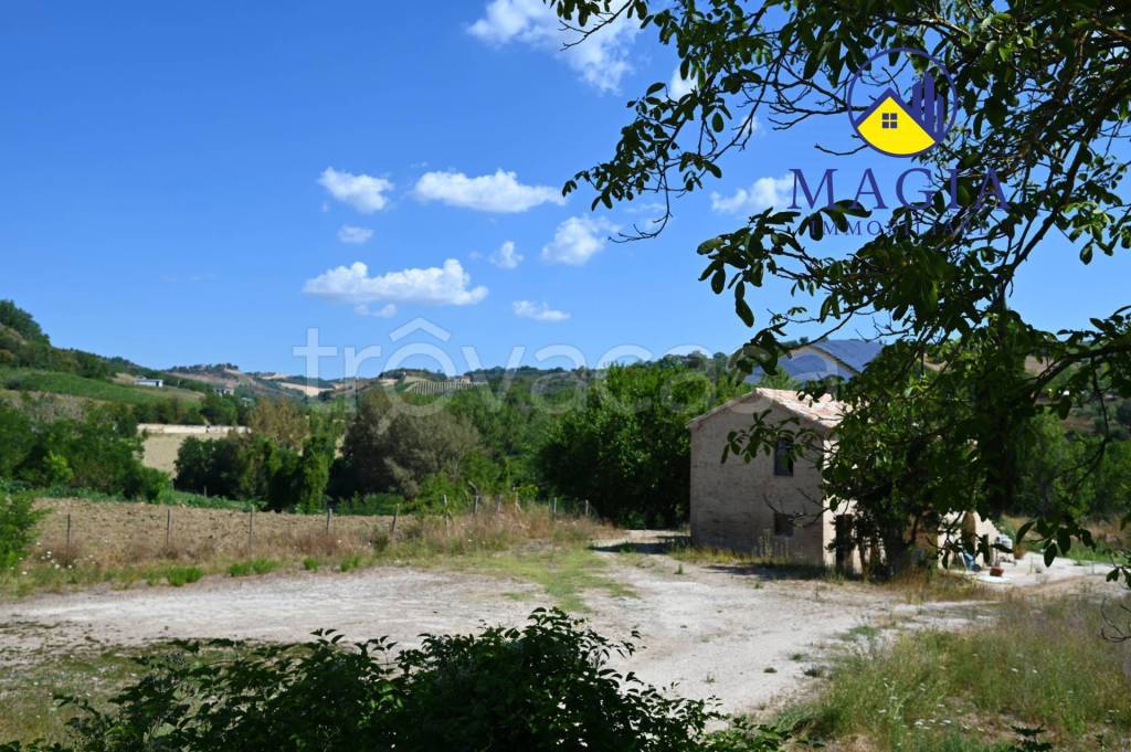 immagine annuncio 11 di 12