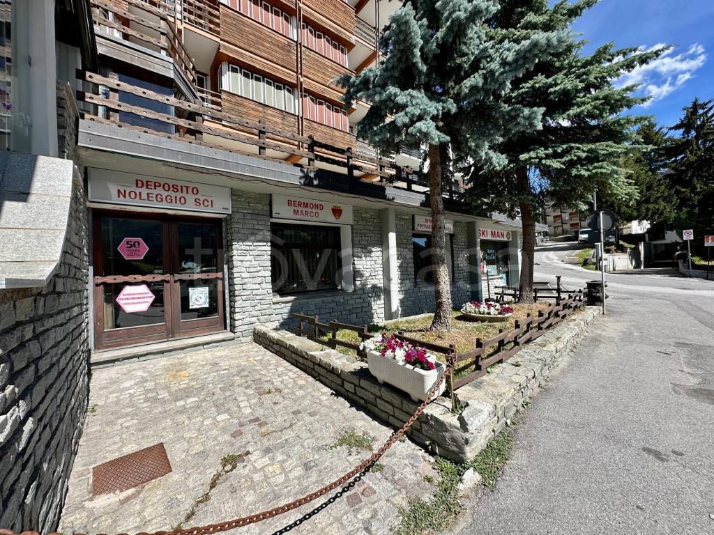 immagine annuncio 7 di 11