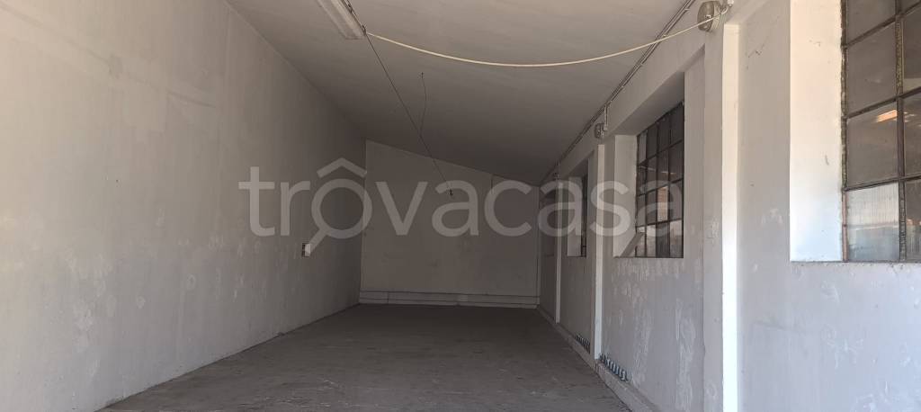 immagine annuncio 5 di 8