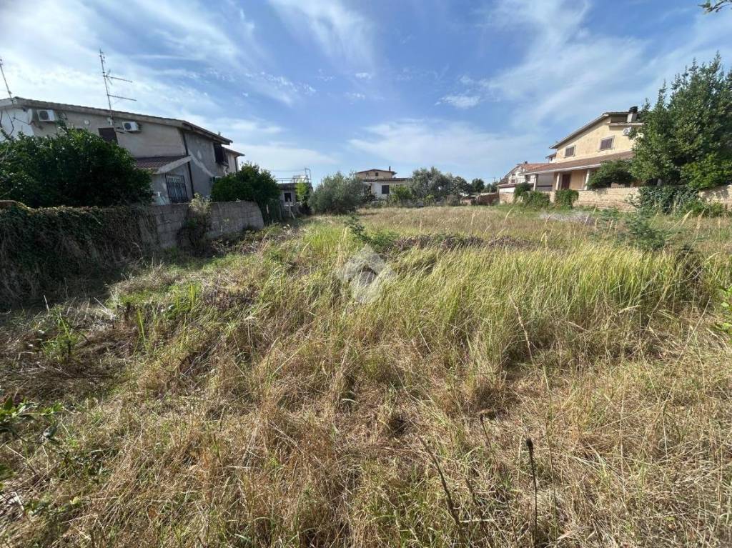 immagine annuncio 4 di 9