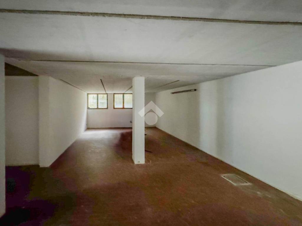 immagine annuncio 9 di 14