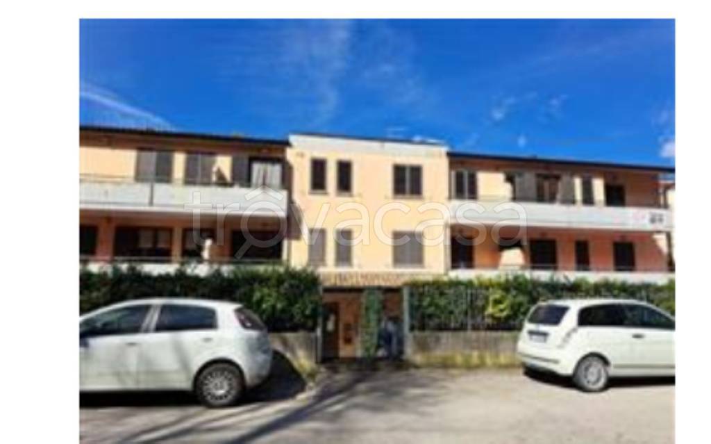 immagine annuncio 4 di 12