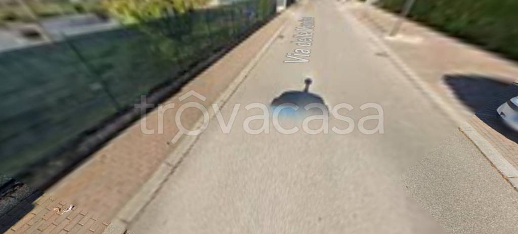immagine annuncio 2 di 12
