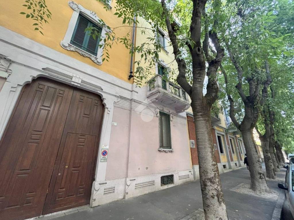 immagine annuncio 1 di 14