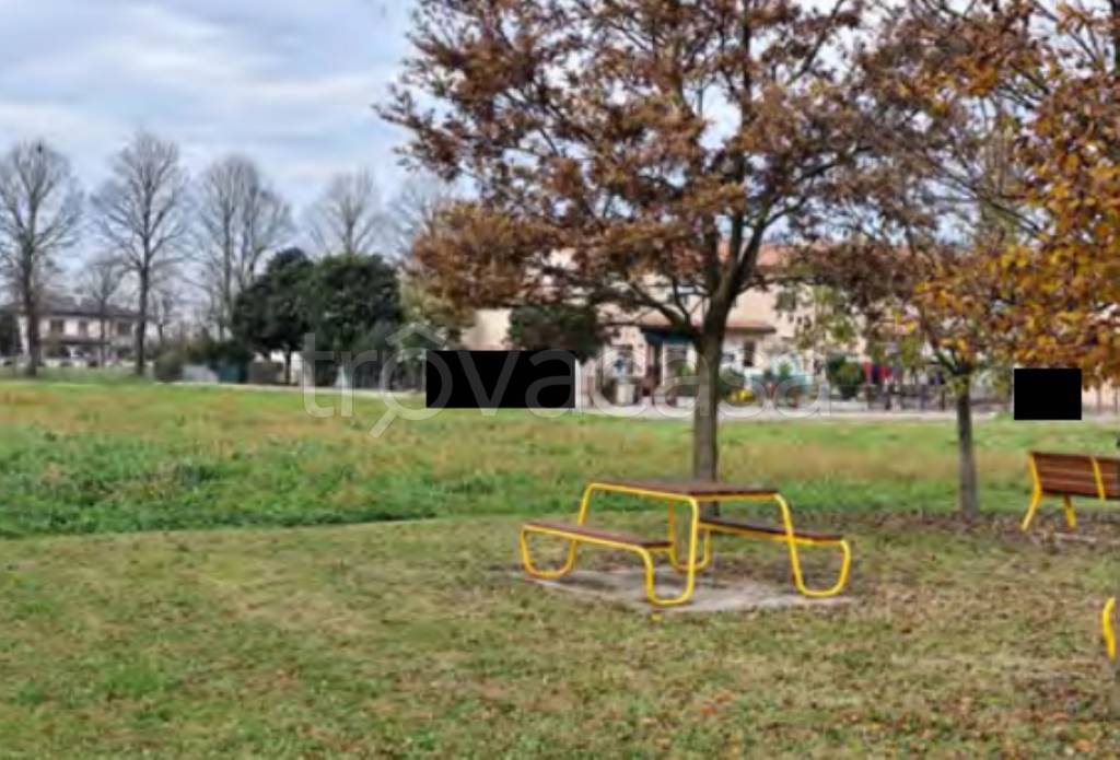 immagine annuncio 5 di 12