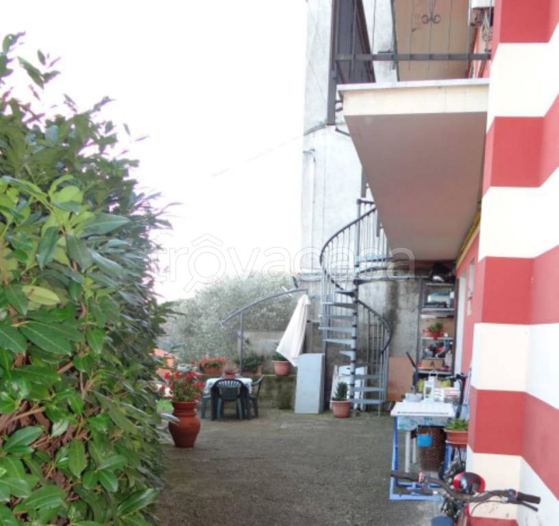 immagine annuncio 2 di 14