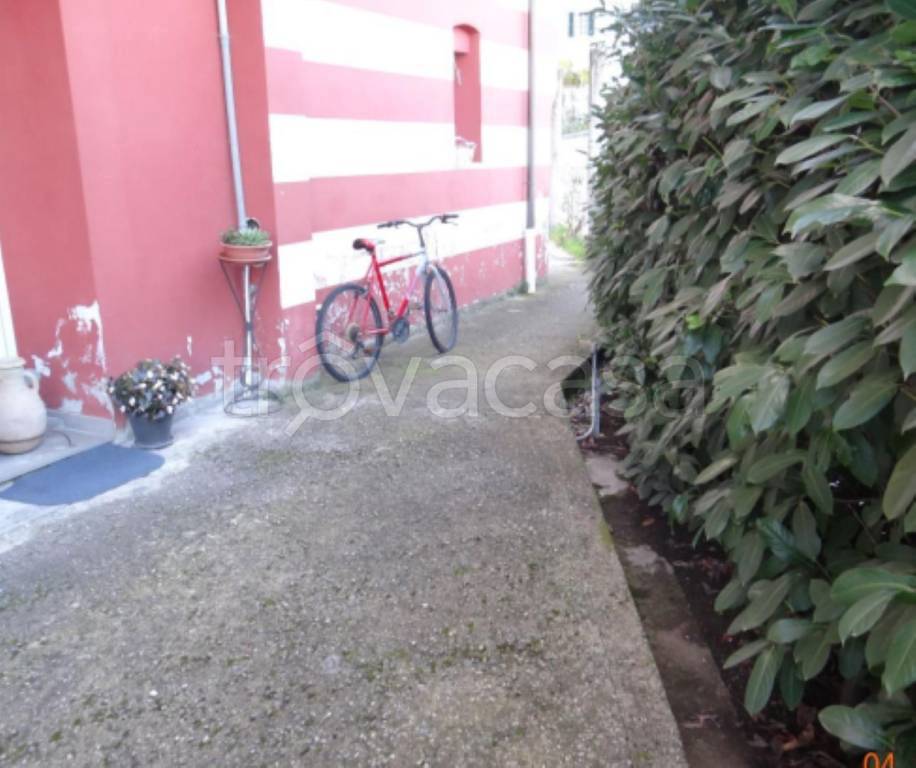 immagine annuncio 5 di 14
