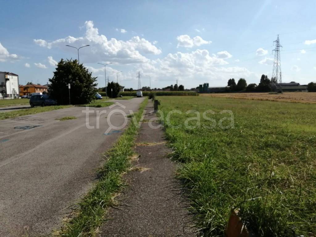 immagine annuncio 1 di 4