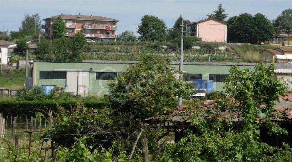immagine annuncio 1 di 6