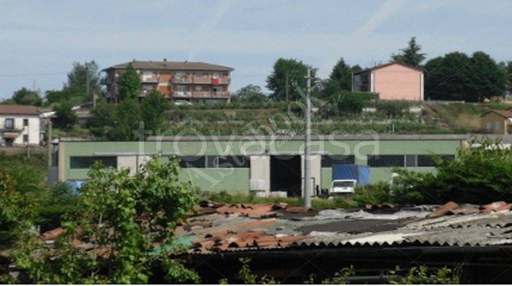 immagine annuncio 2 di 6