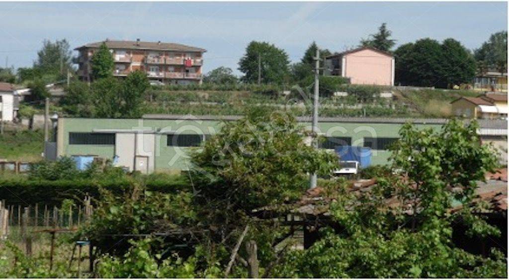 immagine annuncio 3 di 6