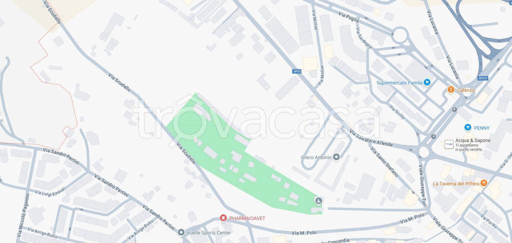 immagine annuncio 10 di 11