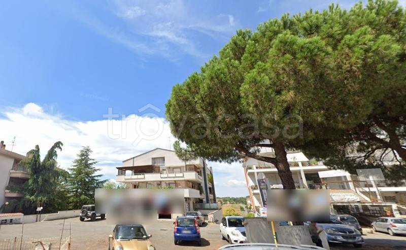immagine annuncio 4 di 8