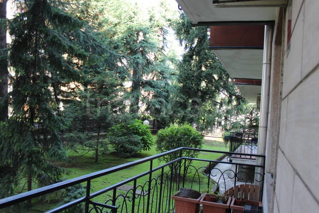immagine annuncio 2 di 12