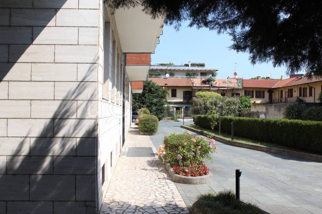 immagine annuncio 6 di 12