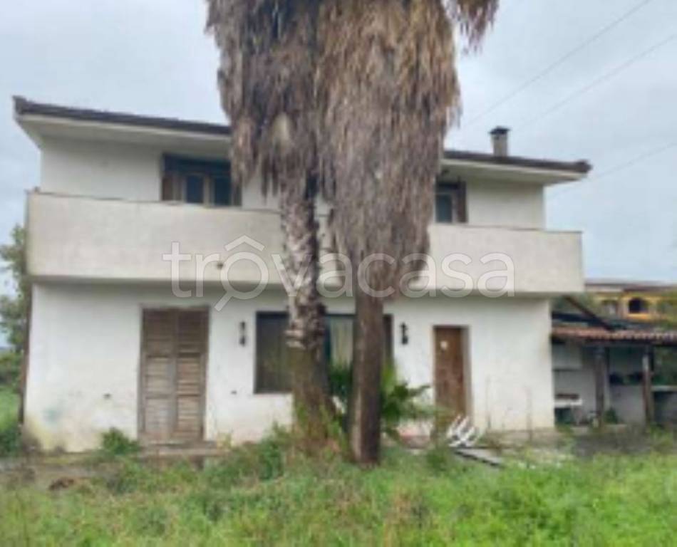 immagine annuncio 7 di 11