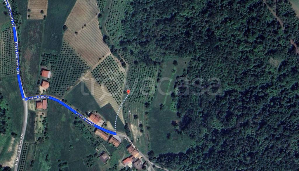 immagine annuncio 6 di 10