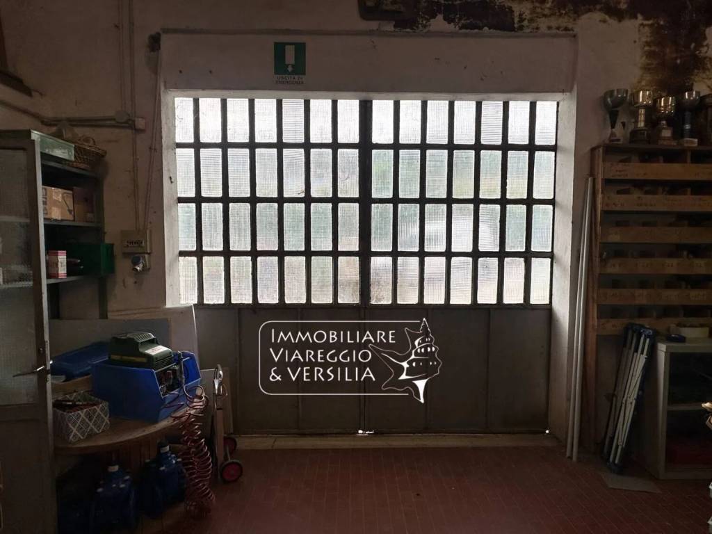 immagine annuncio 6 di 12