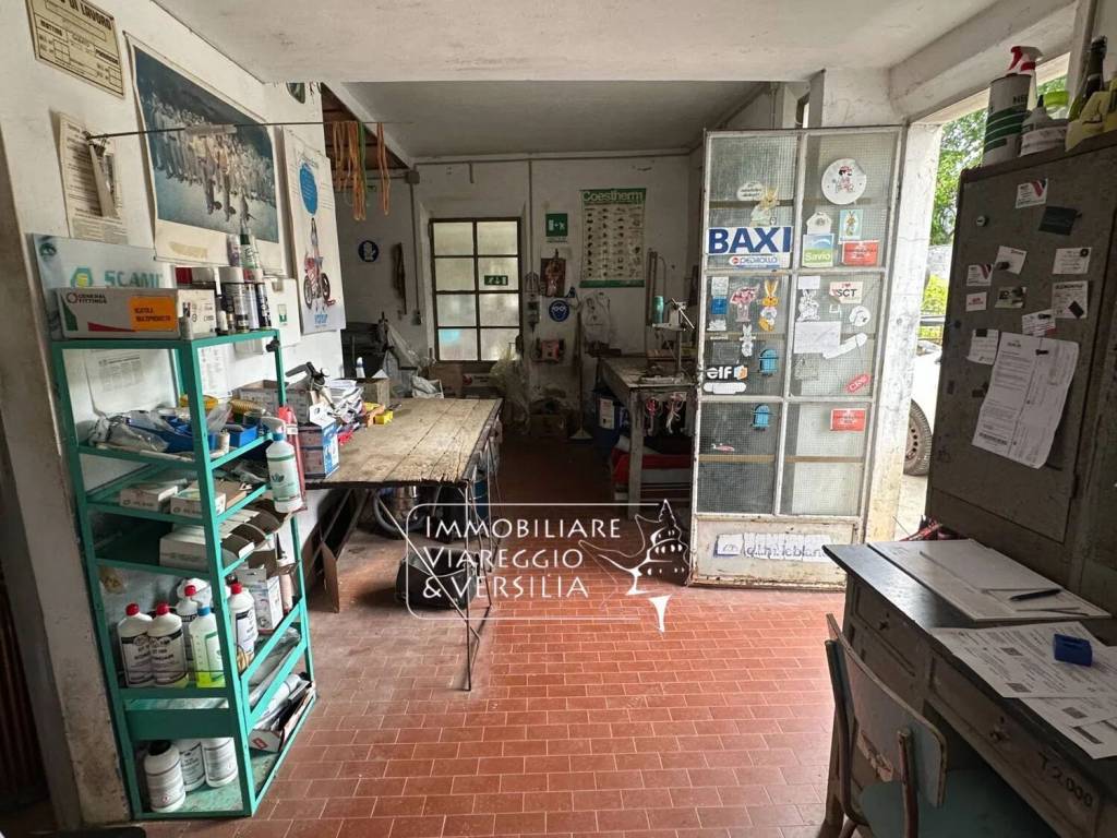 immagine annuncio 7 di 12