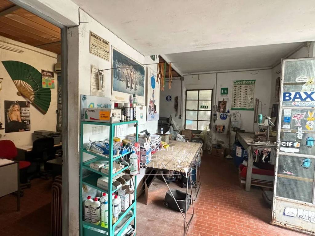 immagine annuncio 8 di 12