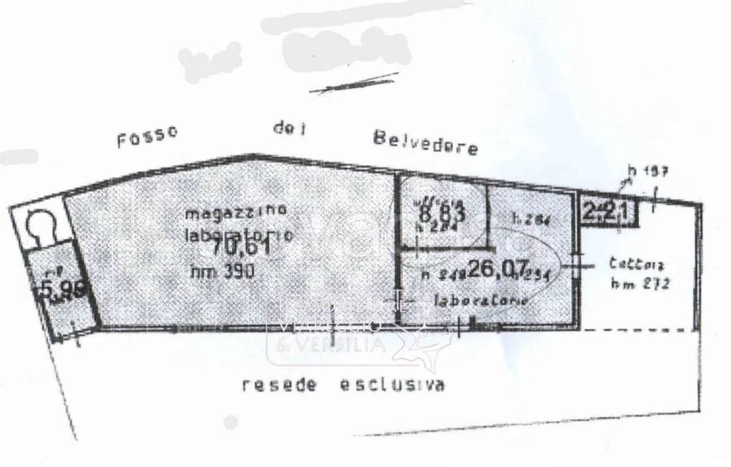 immagine annuncio 11 di 12