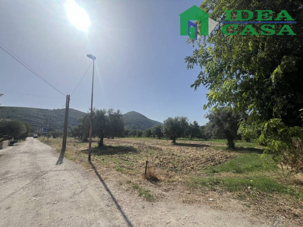 immagine annuncio 7 di 9