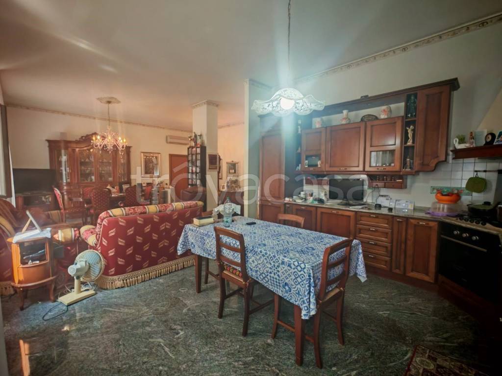 immagine annuncio 3 di 14