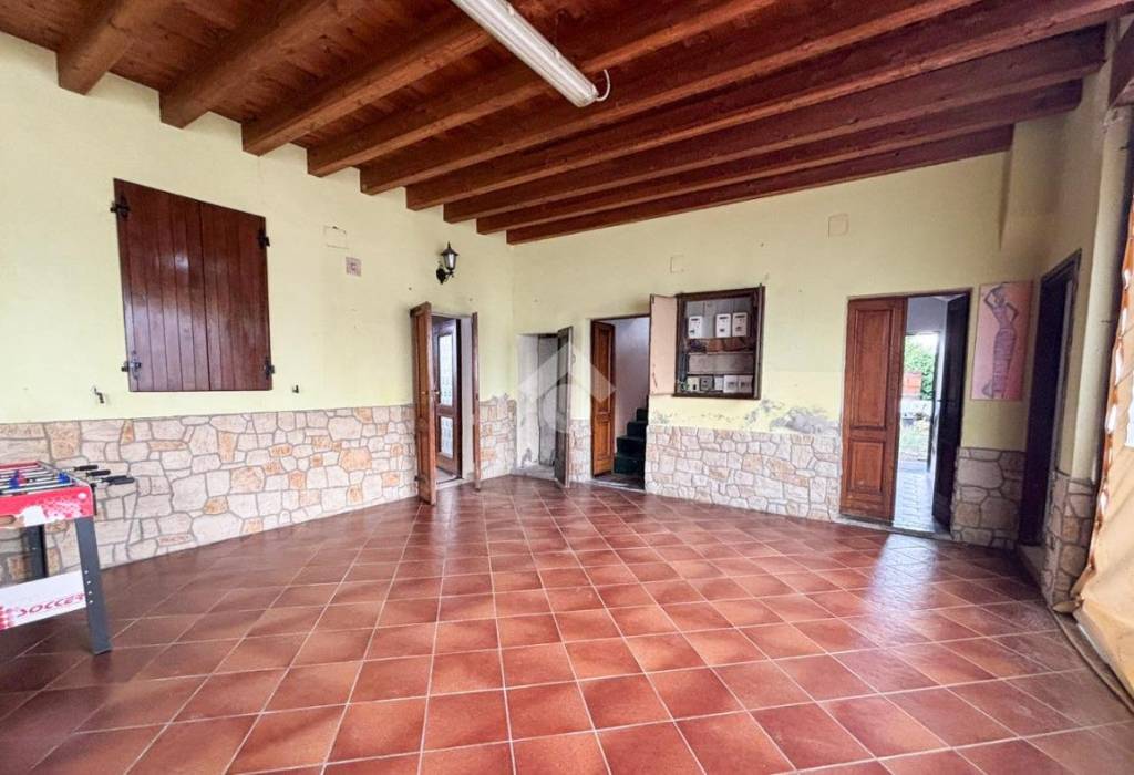 immagine annuncio 9 di 14