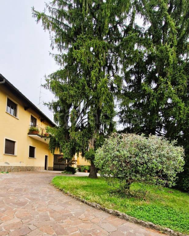 immagine annuncio 4 di 11