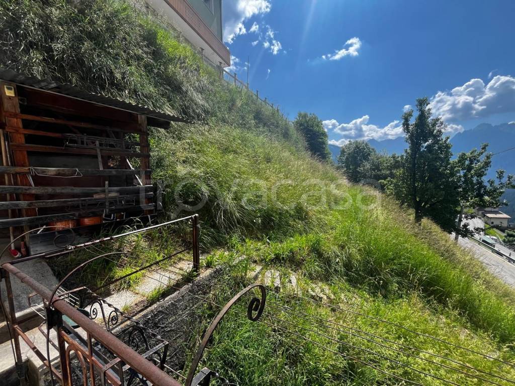 immagine annuncio 6 di 12