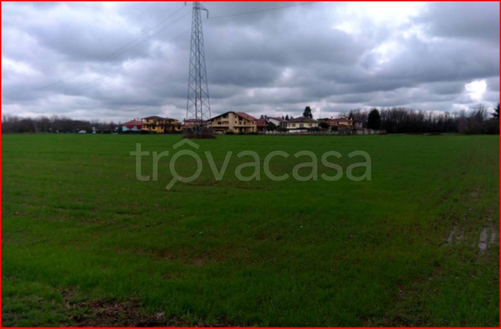 immagine annuncio 2 di 11