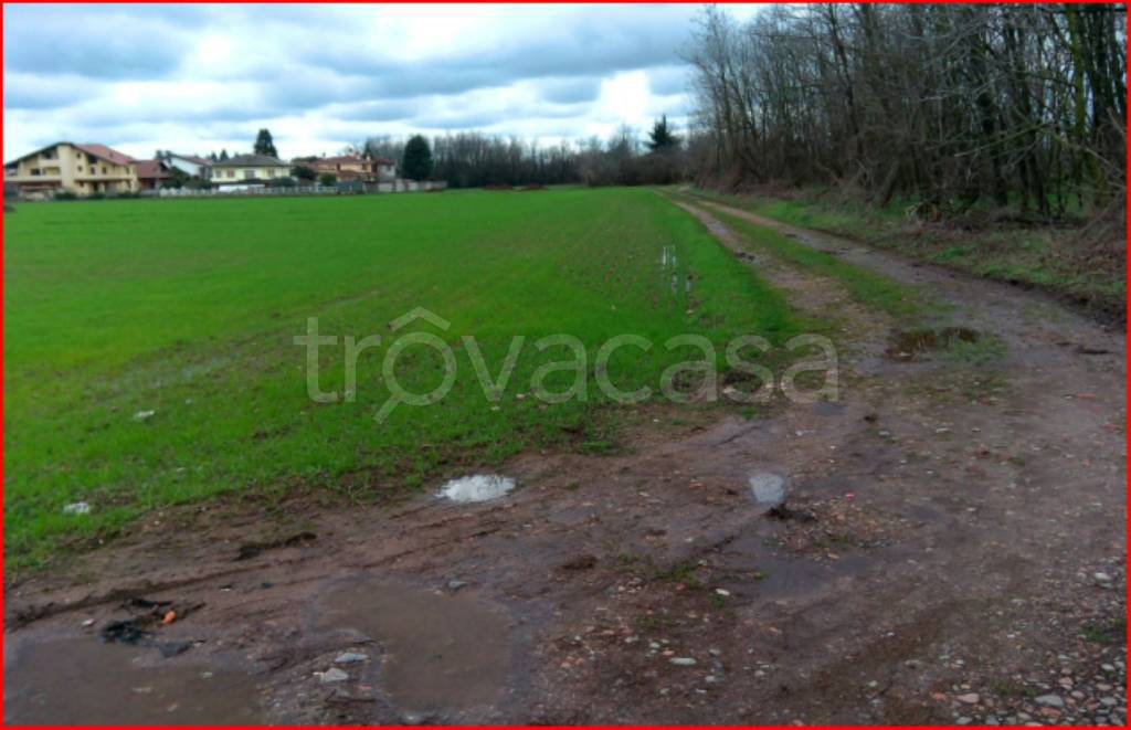 immagine annuncio 3 di 11
