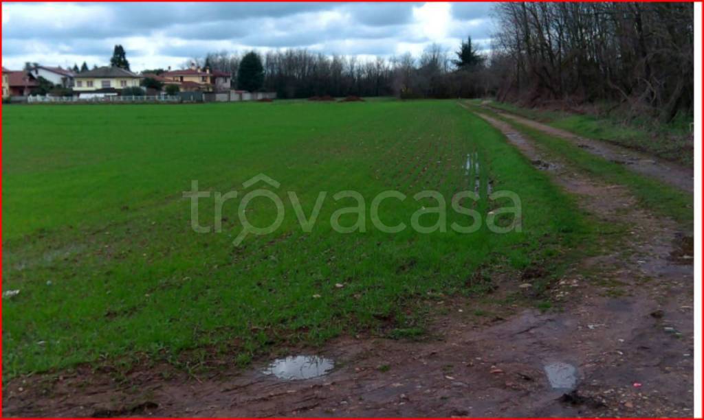 immagine annuncio 4 di 11