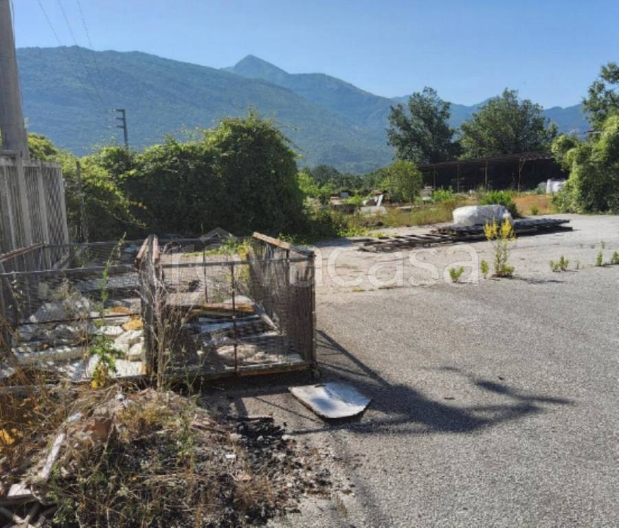immagine annuncio 5 di 11