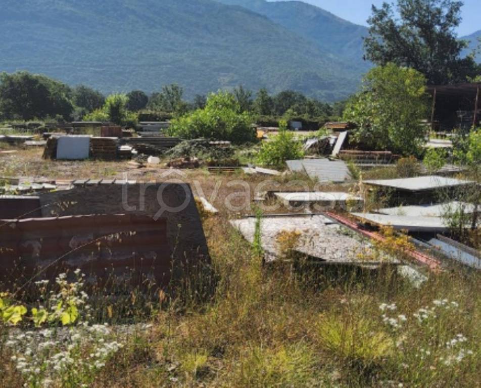 immagine annuncio 6 di 11