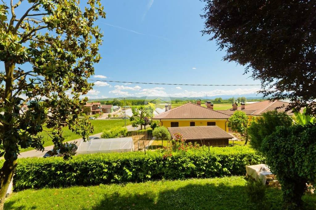 immagine annuncio 4 di 8