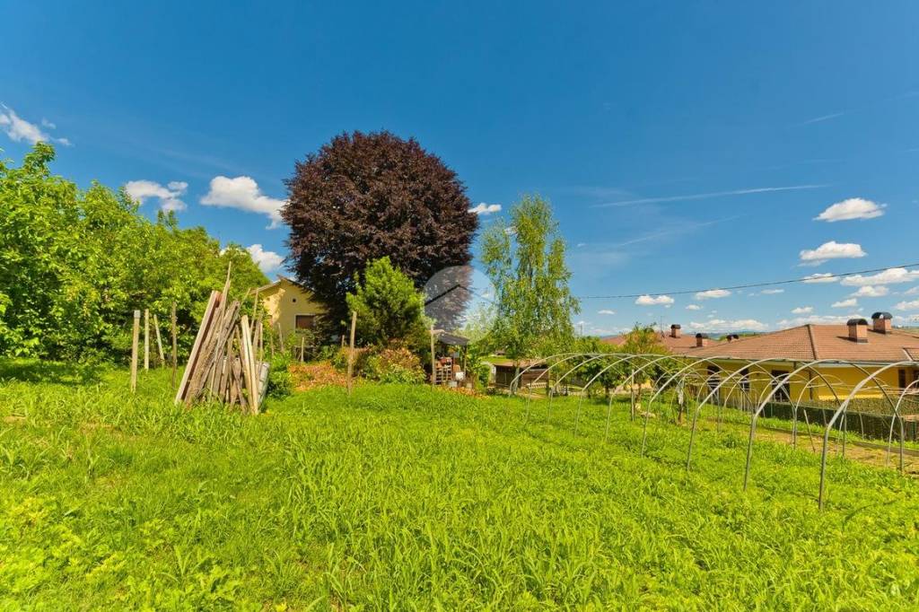 immagine annuncio 5 di 8